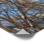 Winter Robins Snowy Nest Poster (Ecke)