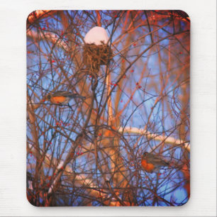 Winter Robins Wildlife Nature Mousepad