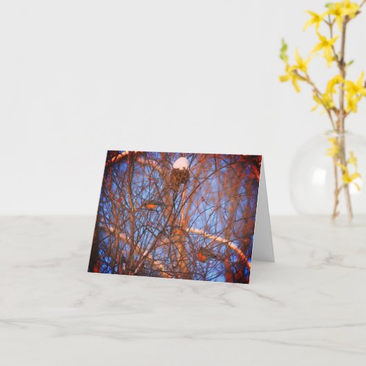 Winter Robins Wildlife Nature Note Card Karte (Gelbe Blume)