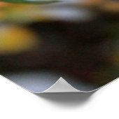 Winter-Rose Poster (Ecke)