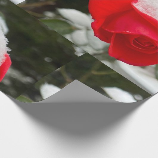 Winter Rose Wrapping Paper Geschenkpapier (Ecke)