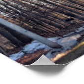 Winter Rows of Trees Poster (Ecke)