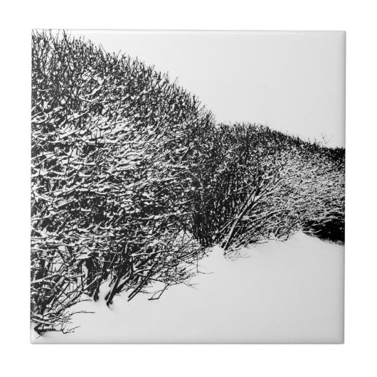 Winter’s Hedge Fliese (Vorderseite)