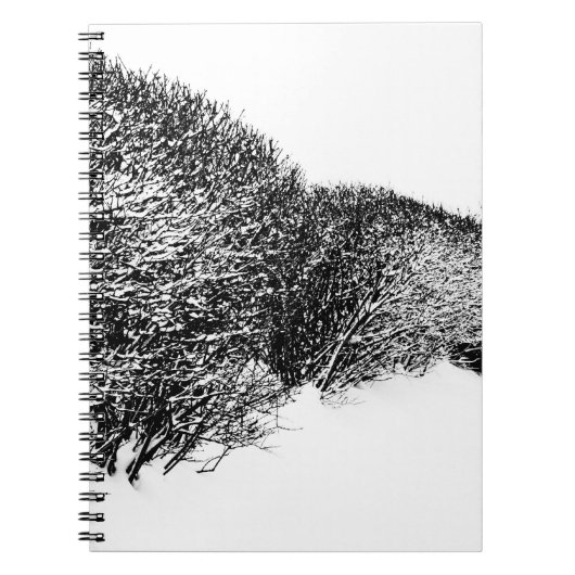 Winter’s Hedge Notizblock (Vorderseite)
