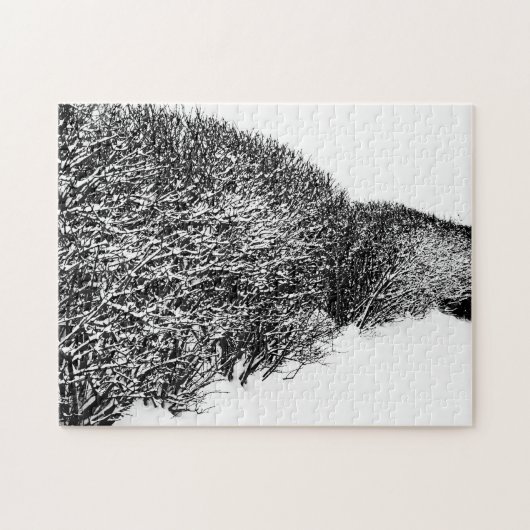 Winter’s Hedge Puzzle (Horizontal)