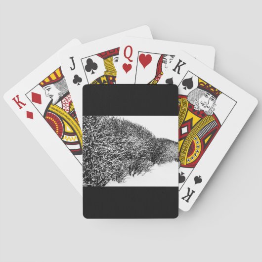 Winter’s Hedge Spielkarten (Rückseite)