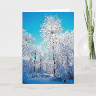 Winter Scene Card Feiertagskarte