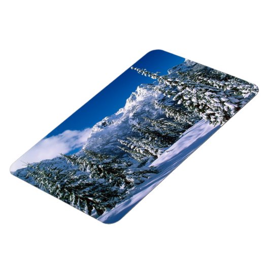 Winter Scene Magnet (Linke Seite)