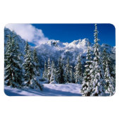 Winter Scene Magnet (Horizontal)