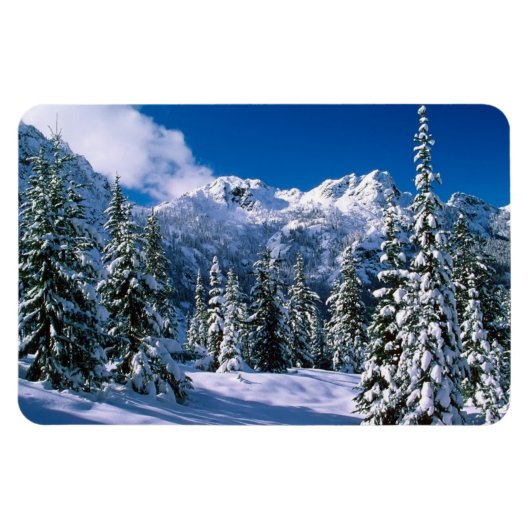 Winter Scene Magnet (Horizontal)