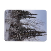 Winter Scene Magnet (Horizontal)