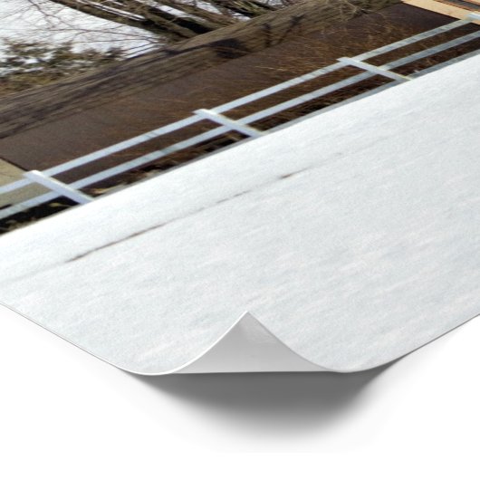 Winter Scene Poster (Ecke)