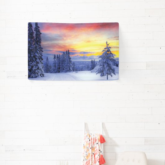 Winter scenery banner (InSitu)