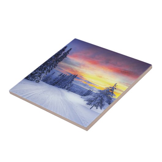 Winter scenery fliese (Seite)