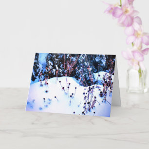 Winter-Schnee-Blumenköpfe-Bäume-Natur Karte