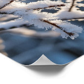 Winter-Schnee-Frostiger-Zweig-Sonnenlicht Poster (Ecke)