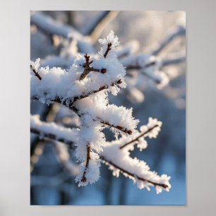Winter-Schnee-Frostiger-Zweig-Sonnenlicht Poster