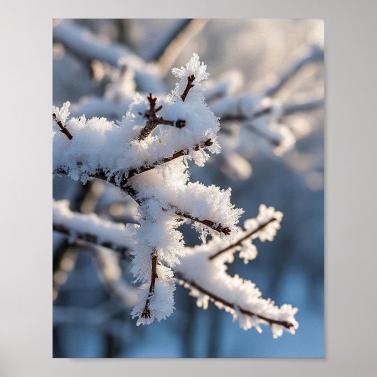 Winter-Schnee-Frostiger-Zweig-Sonnenlicht Poster (Vorne)