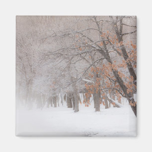 Winter Schnee   Lake Kussharo Magnet