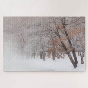 Winter Schnee Lake Kussharo Puzzle