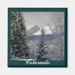 Winter-Schnee-Szene, Colorado Magnet