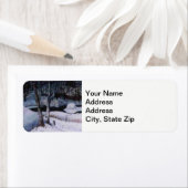 Winter schneebedeckter Elche Fluss, Schneeflocken. (Insitu)