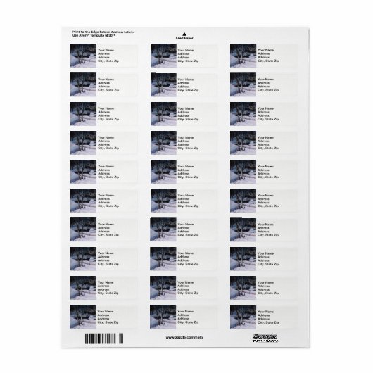 Winter schneebedeckter Elche Fluss, Schneeflocken. (Vorne)