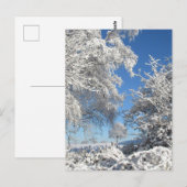 Winter Schneefall Postkarte (Vorne/Hinten)
