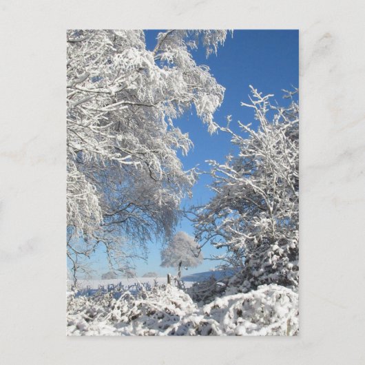 Winter Schneefall Postkarte (Vorderseite)