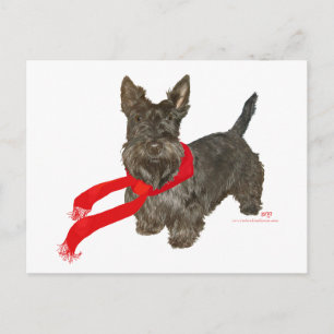 Winter-Scottie in Wam-Schal Postkarte
