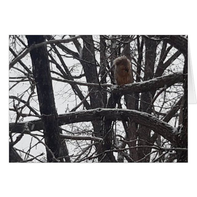 Winter Segen Urlaub Saisons wünscht Karte (Vorderseite (Horizontal))