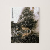 Winter Sheltie Puzzle (Vertikal)