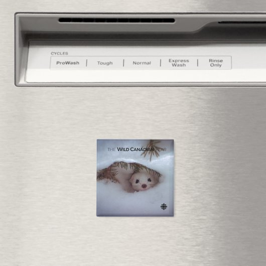 Winter - Short-Tailed Weasel Magnet (In Situ (Geschirrspüler))