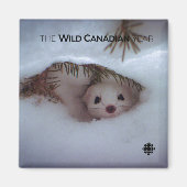 Winter - Short-Tailed Weasel Magnet (Vorne)