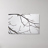 Winter Sky Leinwand Print (Vorderseite)