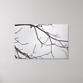 Winter Sky Leinwand Print