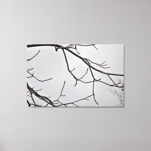 Winter Sky Leinwand Print (Vorderseite)