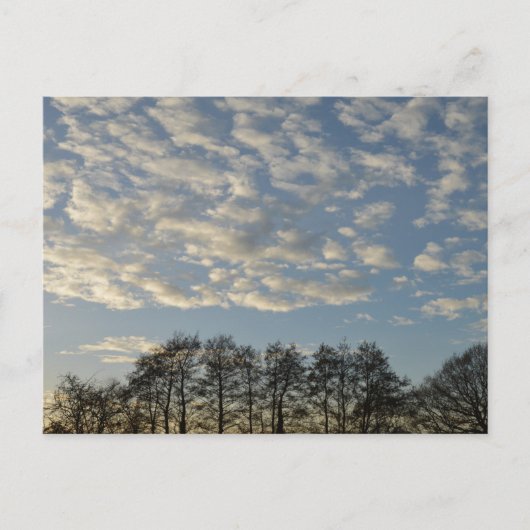 Winter Sky Postkarte (Vorderseite)