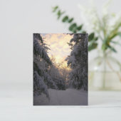 Winter Sky Postkarte (Stehend Vorderseite)