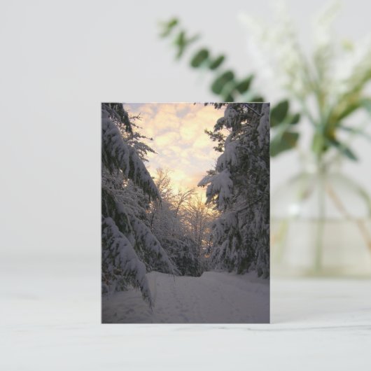 Winter Sky Postkarte (Stehend Vorderseite)