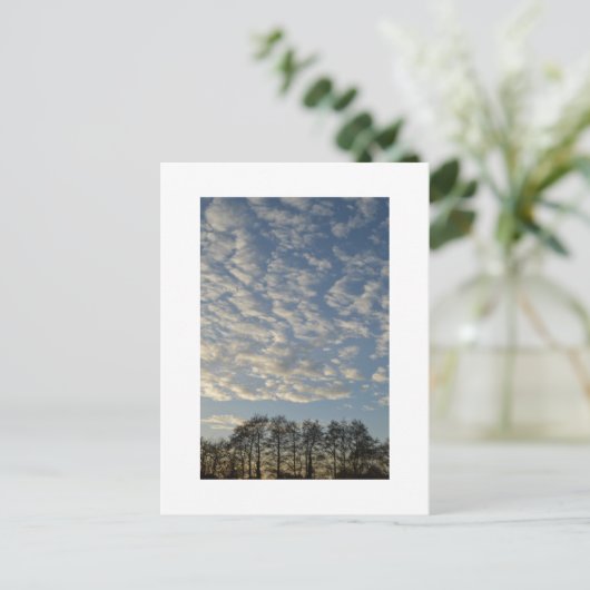 Winter Sky Postkarte (Stehend Vorderseite)