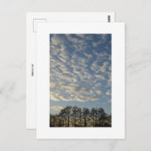 Winter Sky Postkarte (Vorne/Hinten)