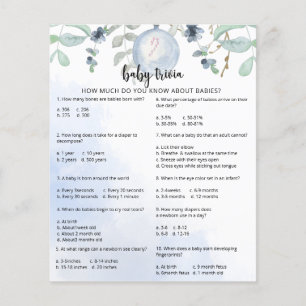 Winter Snow Baby Trivia Baby Showspiel