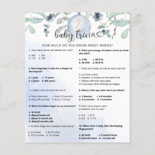 Winter Snow Baby Trivia Baby Showspiel