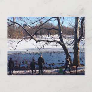 Winter Snow Central Park Lake New York City NYC Postkarte