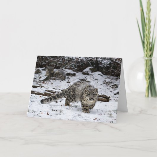 Winter Snow Leopard Cub Feiertagskarte (Vorderseite)