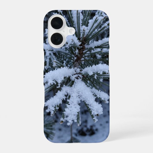 Winter Snow Pine Needles Macro Phone Case iPhone 16 Hülle (Rückseite)
