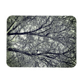 Winter Snow Tree Branches Photograph Magnet (Horizontal)