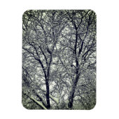 Winter Snow Tree Branches Photograph Magnet (Vertikal)