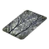 Winter Snow Tree Branches Photograph Magnet (Linke Seite)